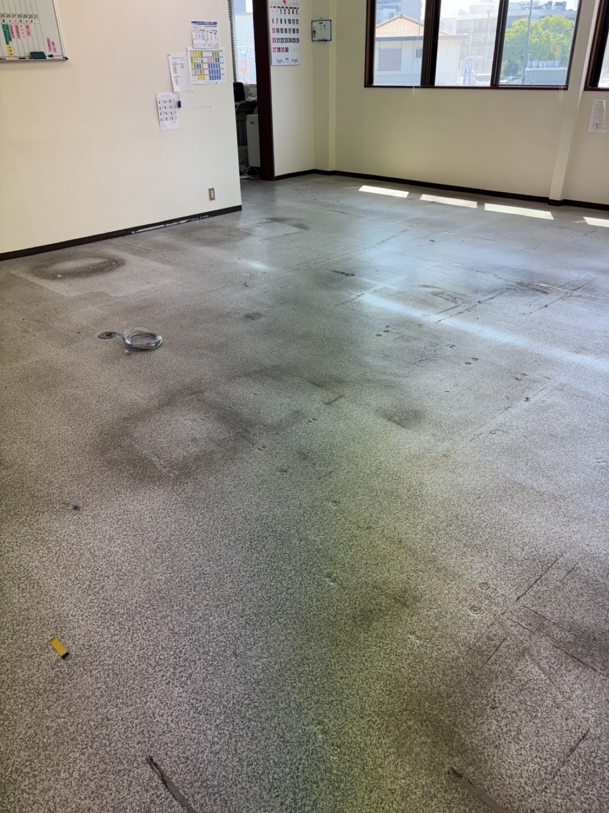 Before画像
